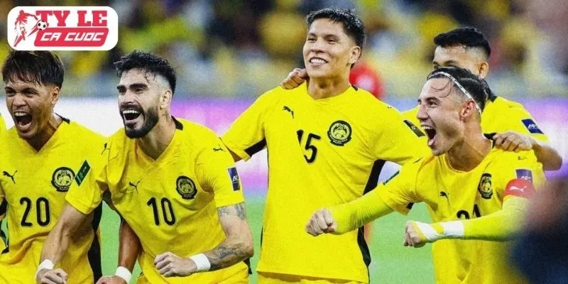 Án Phạt Lịch Sử Từ FIFA: Malaysia Lao Đao, FAM Không Thể Ngồi Yên